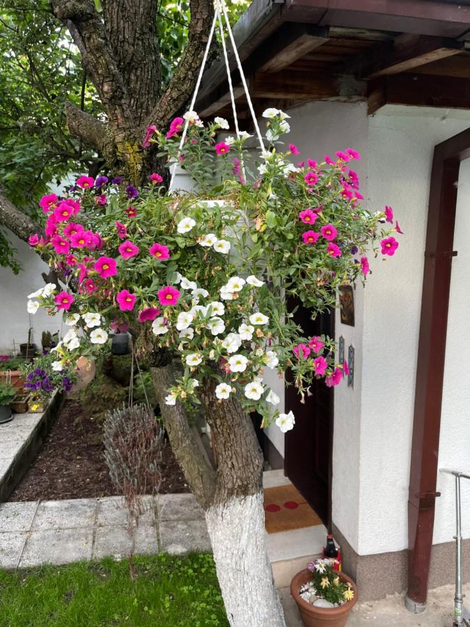 Apartments Music, Garden And Free Parking Сараево Экстерьер фото